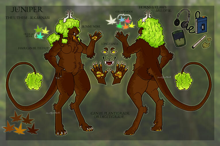 2 sided ref with extras